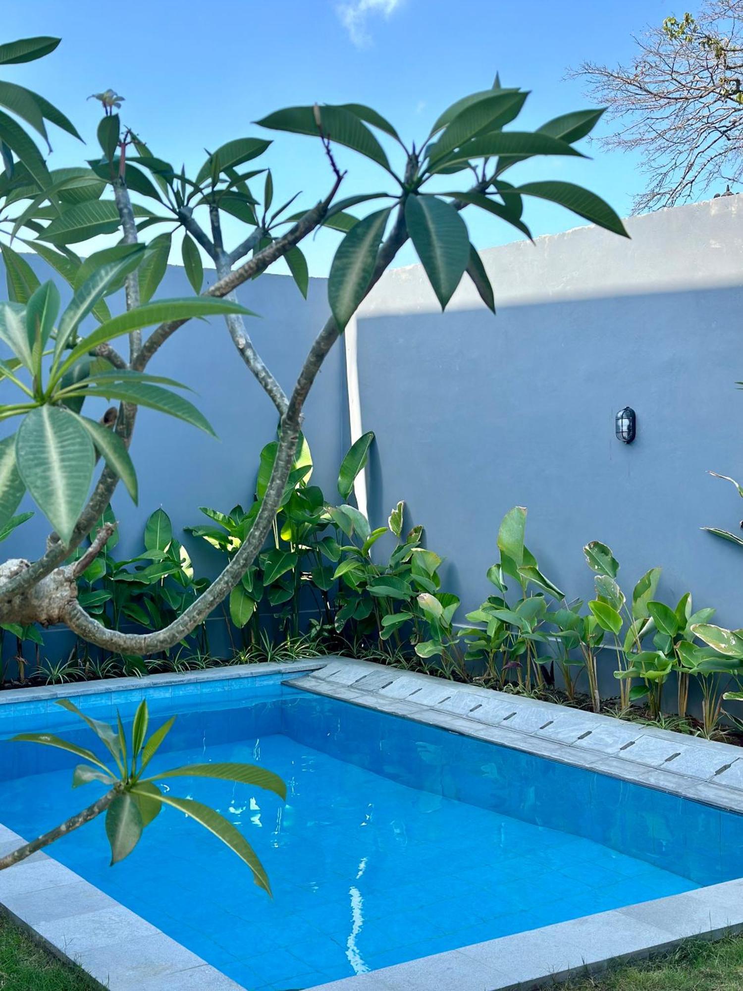 Villa In Seminyak Villa Mitra Dua Ricefield View Relax ケロボカン エクステリア 写真